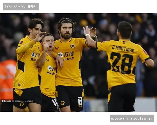 谢菲尔德联对阵狼队比赛预测及分析深度解析