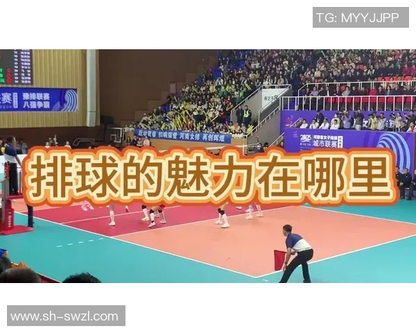 武汉排球队的速度之谜：排球巨献带你领略竞技魅力与团队精神