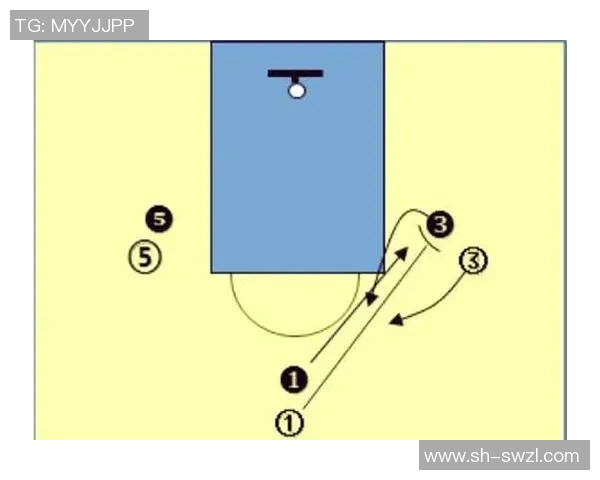 以大前锋为核心构建篮球战术体系探讨与实践分析